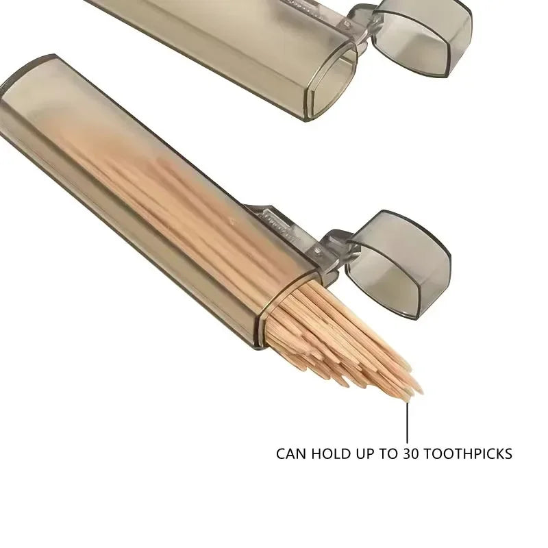 1pc Portable Toothpick Box Plastic Reusable Toothpick Storage Holders Cotton Case for Home Living Room Outdoor Travel