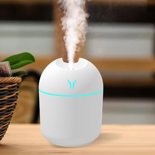 250ML Mini Aroma Diffuser - Seliora